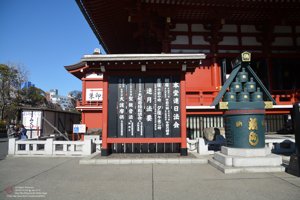 20180110111457_NIKON D7100.jpg